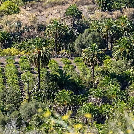 Garden View Iguazu 3 Near Yumbo דירה פלאייה דל אינגלז